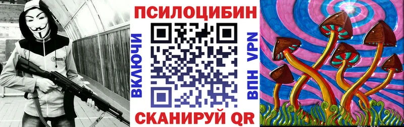 где купить   Канаш  omg как зайти  Псилоцибиновые грибы MAGIC MUSHROOMS 